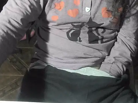 הופעת וובקאם של OreCam