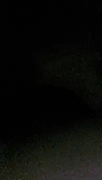 Show Webcam de salchichon_69