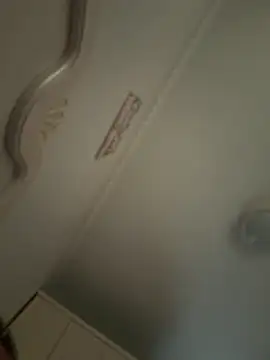 fuke2026 Pertunjukan Webcam