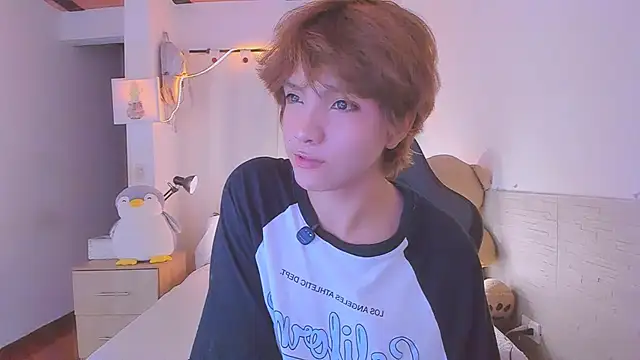 Sweet_Allann Webbikameraesitys