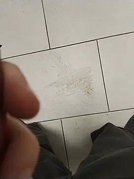 Pertunjukan Kamera Web DesertedMonoxide