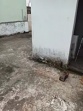 Pertunjukan Kamera Web Anshibhabhi