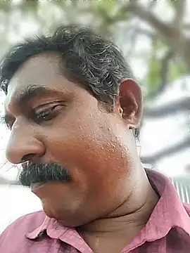 ApposedBearingtamilnadu Pertunjukan Webcam