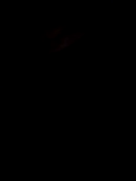 wldoamor's Live XXX Chat