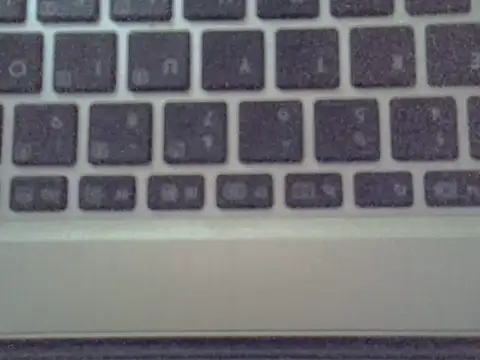 Delicious-D Live XXX-Chat