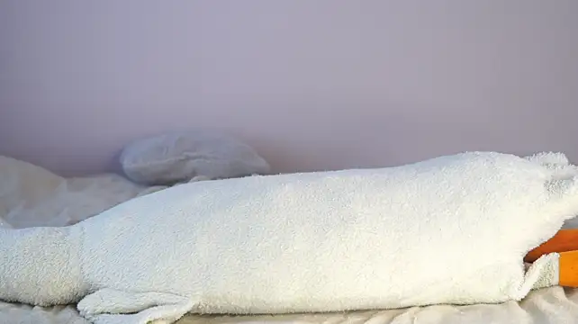 norakisses Live XXX-chat