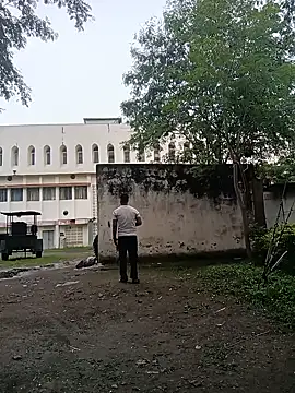 sexcook 网络视讯表演