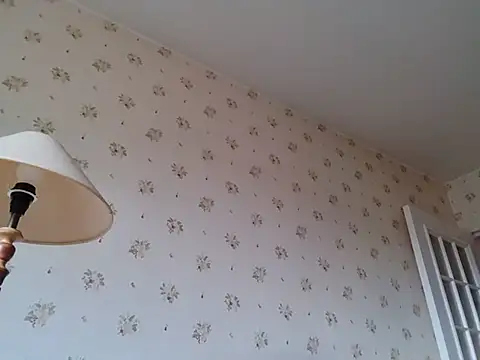 Perv10's Webcam Show