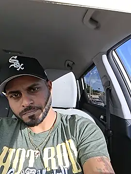 islandvybee55n Webbikameraesitys