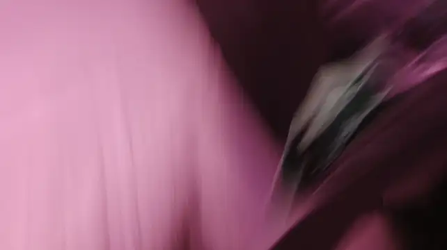 Онлайн чат XXX ChiaraBellinii