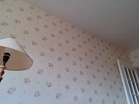 Pokazy przed kamerką – Perv10