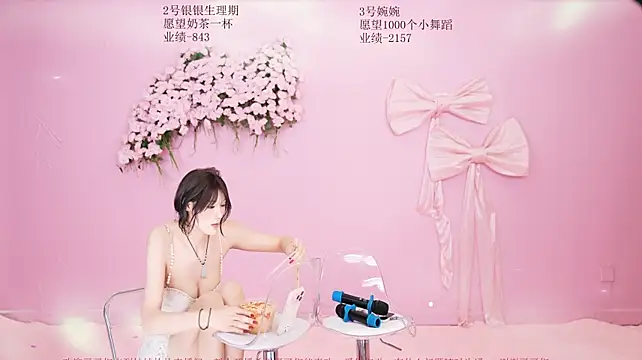 YY-8888 Webcam-Show