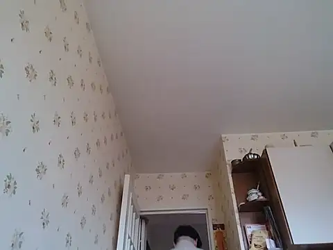 Perv10 网络视讯表演