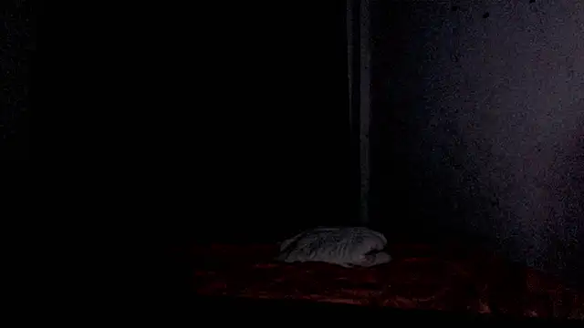 BrendaTaki Show Webcam
