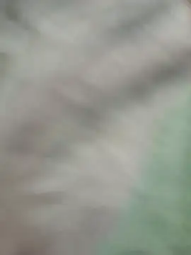 Pingona2270n Webbikameraesitys