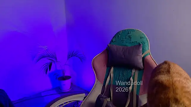 แชท XXX สดของ WandaDoll