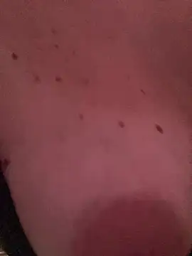 SexyTs888 웹캠 쇼