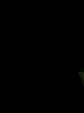 dickforpussyy's Webcam Show