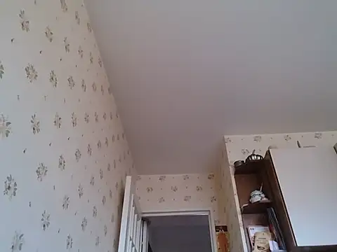 Show webcam de Perv10