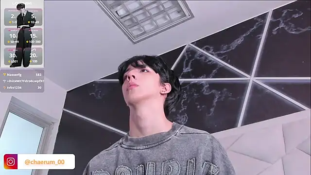 Show webcam de AerumChae