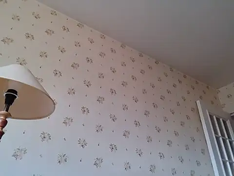Perv10 élő XXX-chatje