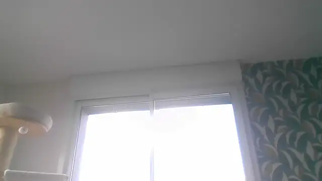 sexy007sexy 网络视讯表演