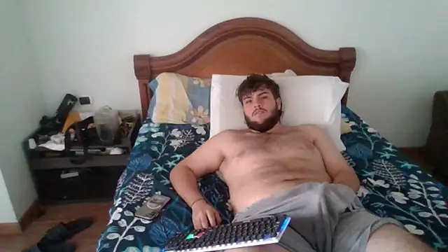 Show Webcam de lipzard