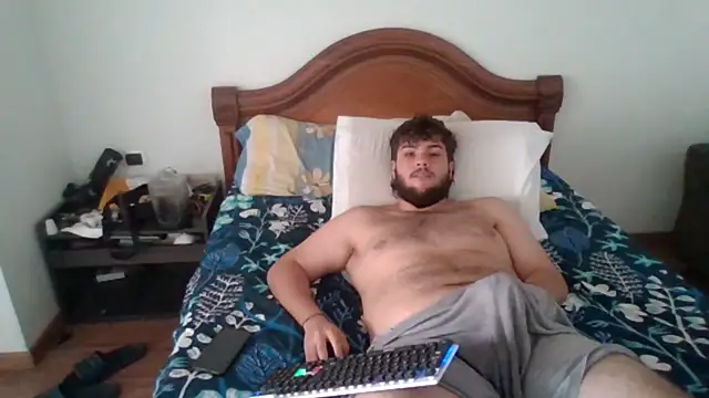 lipzardn Webbikameraesitys
