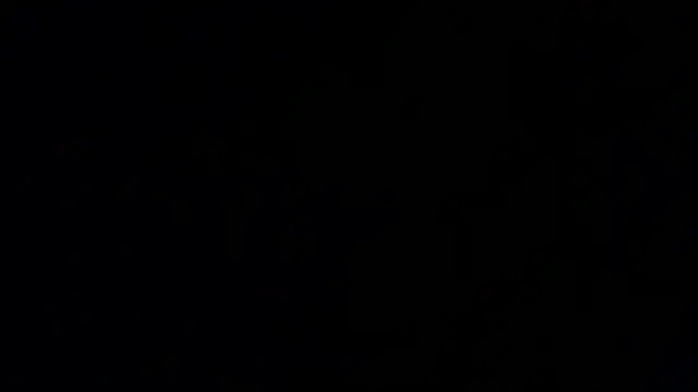 Damian64420 网络视讯表演