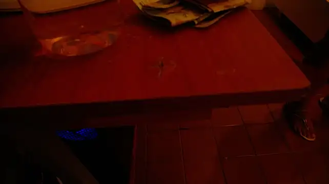 MiiaDelgado লাইভ XXX চ্যাট
