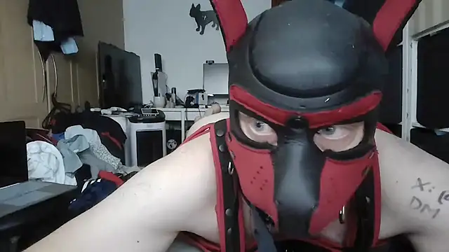 Show Webcam de PigDadDog
