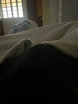 pereiraxzd Webcam show