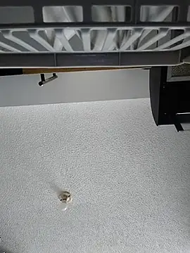 Tiphanydirty3 – Naživo XXX chat