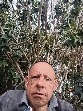 AlekNoir Live XXX-chat
