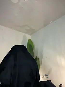Chat XXX ao vivo de FreszX