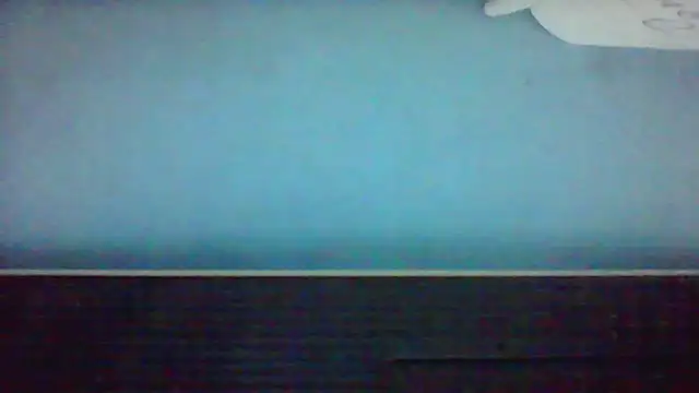 Show webcam de bartolik06
