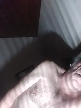 Show Webcam de AIDIl63