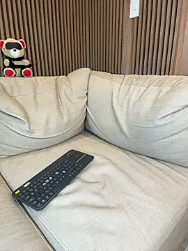 Adrian_SITHn Webbikameraesitys