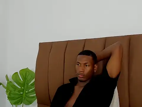 Webkamerová show belga_sex