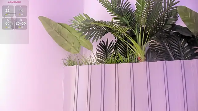 צ'אט XXX בשידור חי של stephanymonroe
