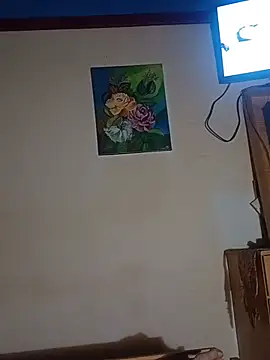 Show de Eumesmo6 na webcam