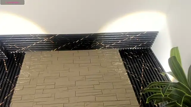 Lander_Cruz 网络视讯表演