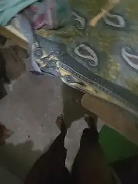 Big_dick_saurabh: вебкам-шоу