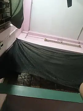 Twinkleroy 网络视讯表演