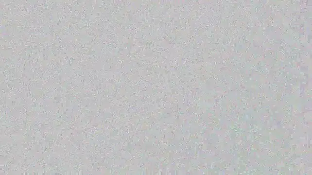 Sparky101's Webcam Show