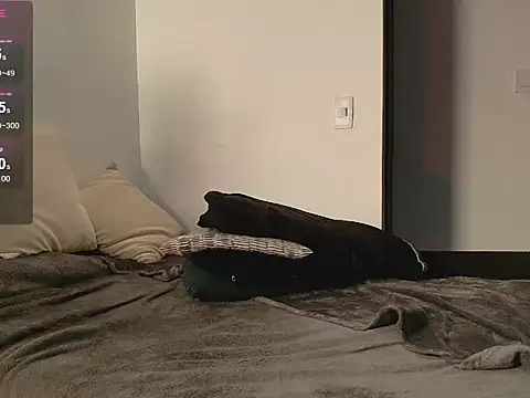 XXX chat uživo modela Lucio__Fox
