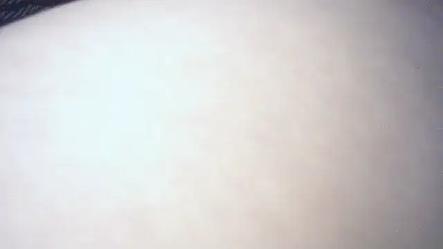 pietje1991 webcam show