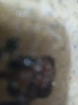 amirMohamed58 Webcam show