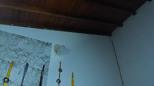 Drakexion21 Live XXX-chat