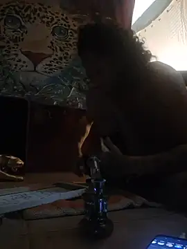 Toycockhot Webcam-Show